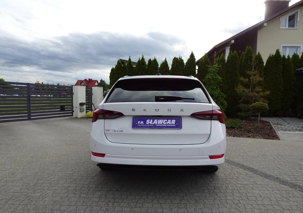 Skoda Octavia cena 71800 przebieg: 145000, rok produkcji 2020 z Miłomłyn małe 704
